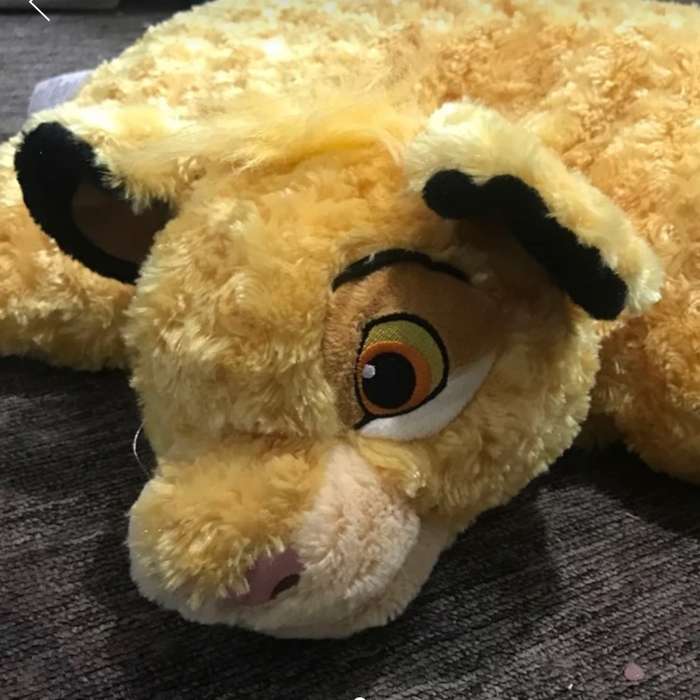 Disneyland pillow pet